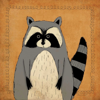 Picture of RACCOON