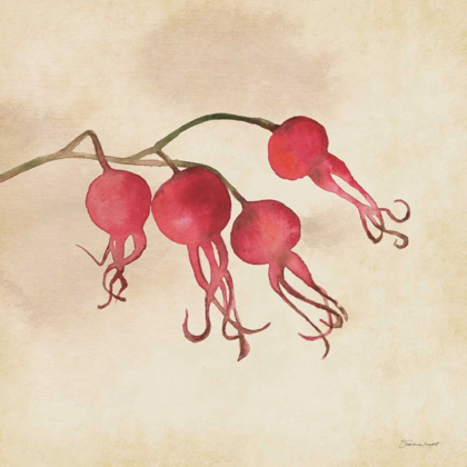 Picture of ROSE HIPS IN FALL