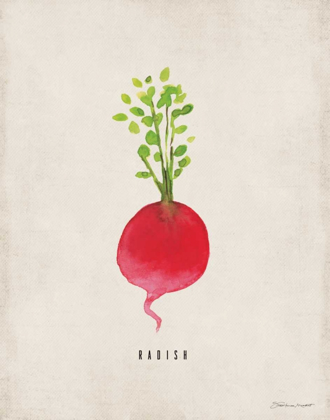 Picture of RADISH