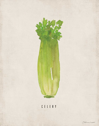 Picture of CELERY