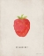Picture of STRAWBERRY