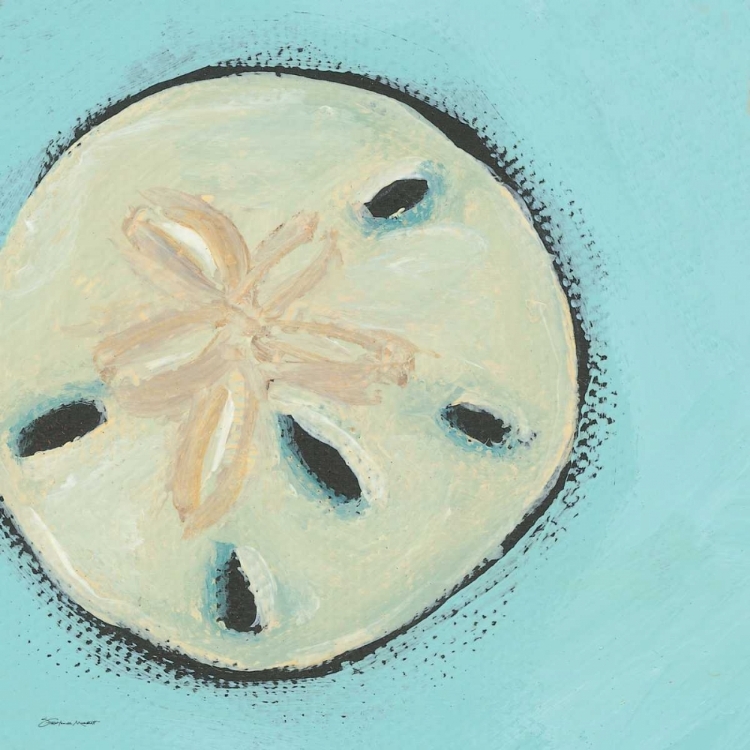 Picture of SAND DOLLAR