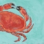 Picture of CRAB