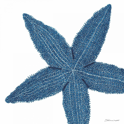 Picture of BLUE STARFISH