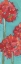 Picture of RED ALLIUMS
