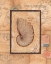 Picture of NAUTILUS