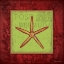 Picture of STARFISH