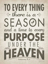 Picture of A SEASON