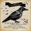 Picture of RAVEN