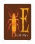 Picture of E IS FOR EARWIG