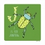 Picture of J IS FOR JUNE BUG