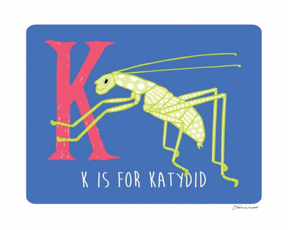 Picture of K IS FOR KATYDID