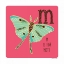 Picture of M IS FOR MOTH