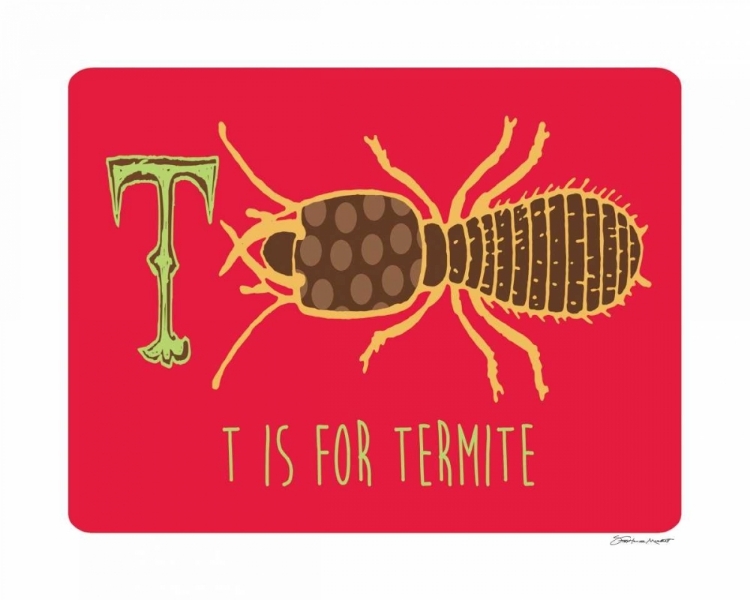 Picture of T IS FOR TERMITE
