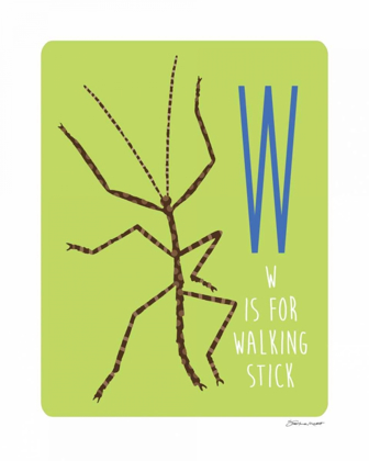 Picture of W IS FOR WALKING STICK