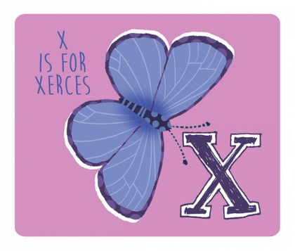 Picture of X IS FOR XERCES