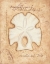 Picture of ARROWHEAD SAND DOLLAR