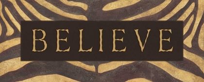 Picture of BELIEVE