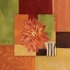 Picture of ORANGE DAISY