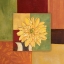 Picture of YELLOW DAISY