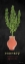 Picture of ROSEMARY