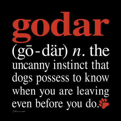 Picture of GODAR