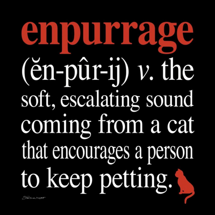 Picture of ENPURRAGE