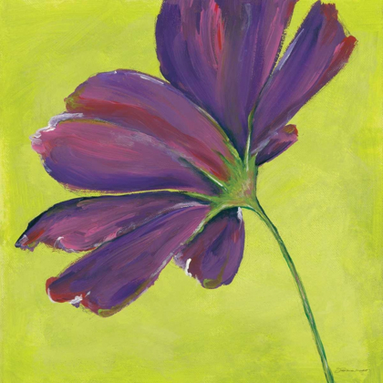 Picture of PURPLE BLOOMING II