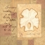 Picture of LIFE SHELL