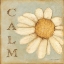 Picture of CALM