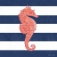 Picture of SEAHORSE STRIPE
