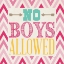 Picture of PLAYROOM NO BOYS I