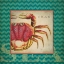 Picture of CRAB