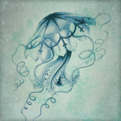 Picture of JELLY FISH III