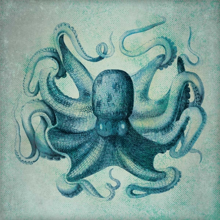 Picture of OCTOPUS