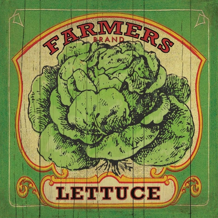 Picture of LETTUCE LABEL