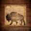 Picture of BISON KING