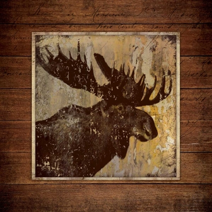 Picture of MOOSE PORTRAIT