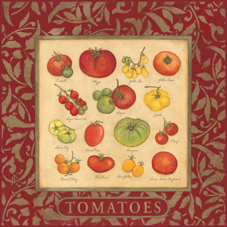 Picture of TOMATOES