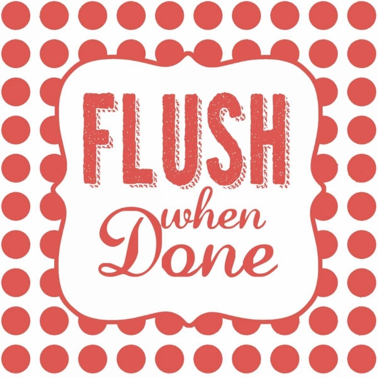 Picture of FLUSH