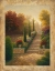 Picture of VIOLA GARDENS