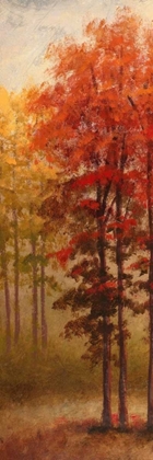 Picture of FALL TREES II