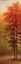 Picture of FALL TREES II