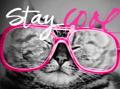 Picture of STAY COOL CAT