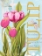 Picture of ELEGANT TULIP II