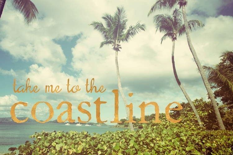 Picture of TAKE ME TO THE COASTLINE