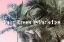 Picture of PALM TREES AND PARADISE