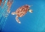 Picture of UNDERWATER DEPTHS II