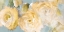 Picture of YELLOW BLOOMS ON BLUE