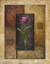 Picture of VIOLET TULIP